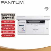 奔图 （PANTUM ）P2206W青春版手机直连无线黑白激光家用打印机